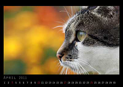 April Foto vom 2cam.net Fotokalender 2011