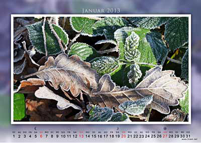 Januar Foto vom 2cam.net Fotokalender 2013