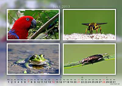 Juli Foto vom 2cam.net Fotokalender 2013