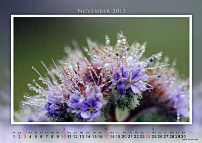November Foto vom 2cam.net Fotokalender 2013