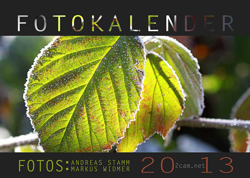 2cam.net Fotokalender 2013