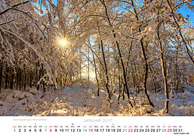 Januar Foto vom 2cam.net Fotokalender 2017