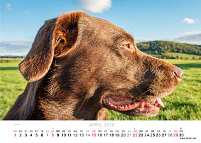 April Foto vom 2cam.net Fotokalender 2018